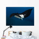 Giant Manta Ray Manta Wall Decal Design 4