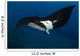 Giant Manta Ray Manta Wall Decal Design 4