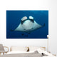 Manta Ray and Clarion Wall Decal Design 2