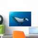 Manta Ray Manta Birostris Wall Decal Design 2