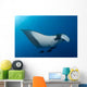 Manta Ray Manta Birostris Wall Decal Design 2
