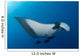 Manta Ray Manta Birostris Wall Decal Design 2