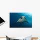 Manta Ray Manta Birostris Wall Decal Design 1