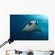 Manta Ray Manta Birostris Wall Decal Design 1