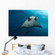 Manta Ray Manta Birostris Wall Decal Design 1