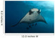 Manta Ray Manta Birostris Wall Decal Design 1