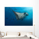 Manta Ray and Clarion Wall Decal Design 1