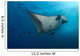 Manta Ray and Clarion Wall Decal Design 1