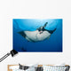 Giant Manta Ray Manta Wall Decal Design 3