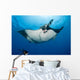 Giant Manta Ray Manta Wall Decal Design 3