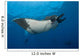 Giant Manta Ray Manta Wall Decal Design 2