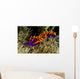 Spanish Shawl Flabellina Iodinea Wall Decal Design 2