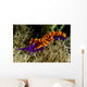 Spanish Shawl Flabellina Iodinea Wall Decal Design 2