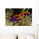 Spanish Shawl Flabellina Iodinea Wall Decal Design 2