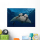Giant Manta Ray Manta Wall Decal Design 1