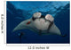 Giant Manta Ray Manta Wall Decal Design 1