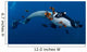 Manta Ray Scuba Diver Wall Decal