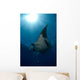 Giant Manta Ray and Wall Decal Design 2