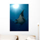 Giant Manta Ray and Wall Decal Design 2