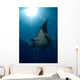 Giant Manta Ray and Wall Decal Design 2