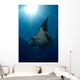 Giant Manta Ray and Wall Decal Design 2