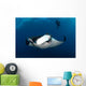 Giant Manta Ray and Wall Decal Design 1