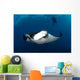 Giant Manta Ray and Wall Decal Design 1