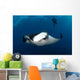 Giant Manta Ray and Wall Decal Design 1