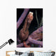 Longsnout Seahorse Hippocampus Reidi Wall Decal Design 3