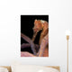 Longsnout Seahorse Hippocampus Reidi Wall Decal Design 2
