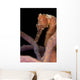 Longsnout Seahorse Hippocampus Reidi Wall Decal Design 2