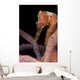 Longsnout Seahorse Hippocampus Reidi Wall Decal Design 2