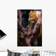 Longsnout Seahorse Hippocampus Reidi Wall Decal Design 1