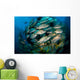 Schooling Porkfish White Margate Wall Decal Design 1
