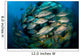 Schooling Porkfish White Margate Wall Decal Design 1