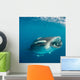 Whale Shark Feeding Plankton Wall Decal Design 7