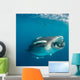 Whale Shark Feeding Plankton Wall Decal Design 7