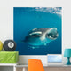 Whale Shark Feeding Plankton Wall Decal Design 7