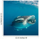 Whale Shark Feeding Plankton Wall Decal Design 7