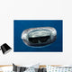Whale Shark Feeding Plankton Wall Decal Design 6
