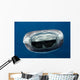 Whale Shark Feeding Plankton Wall Decal Design 6