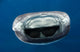 Whale Shark Feeding Plankton Wall Decal Design 6