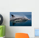 Common Dolphin Delphinus Delphis Wall Decal