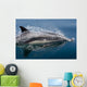 Common Dolphin Delphinus Delphis Wall Decal