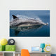 Common Dolphin Delphinus Delphis Wall Decal