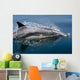 Common Dolphin Delphinus Delphis Wall Decal