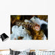 Browncheek Blenny Acanthemblemaria Crockeri Wall Decal