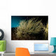 Black Coral Tree Antipathes Wall Decal