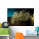 Black Coral Tree Antipathes Wall Decal