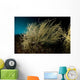 Black Coral Tree Antipathes Wall Decal